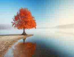 接‍口﻿自﻿动‌化‌平‍台​开‌发‍